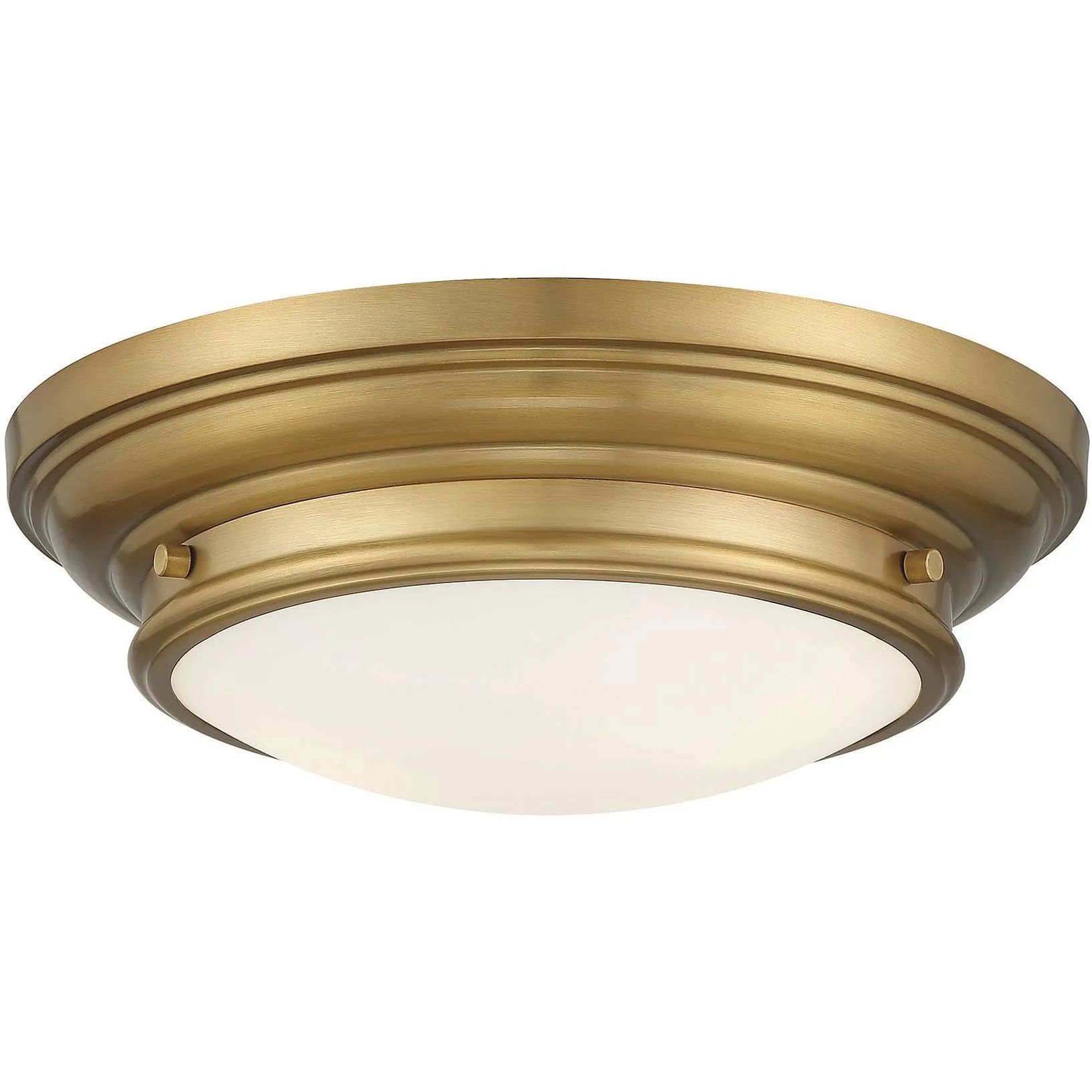 2-Light Ceiling Light