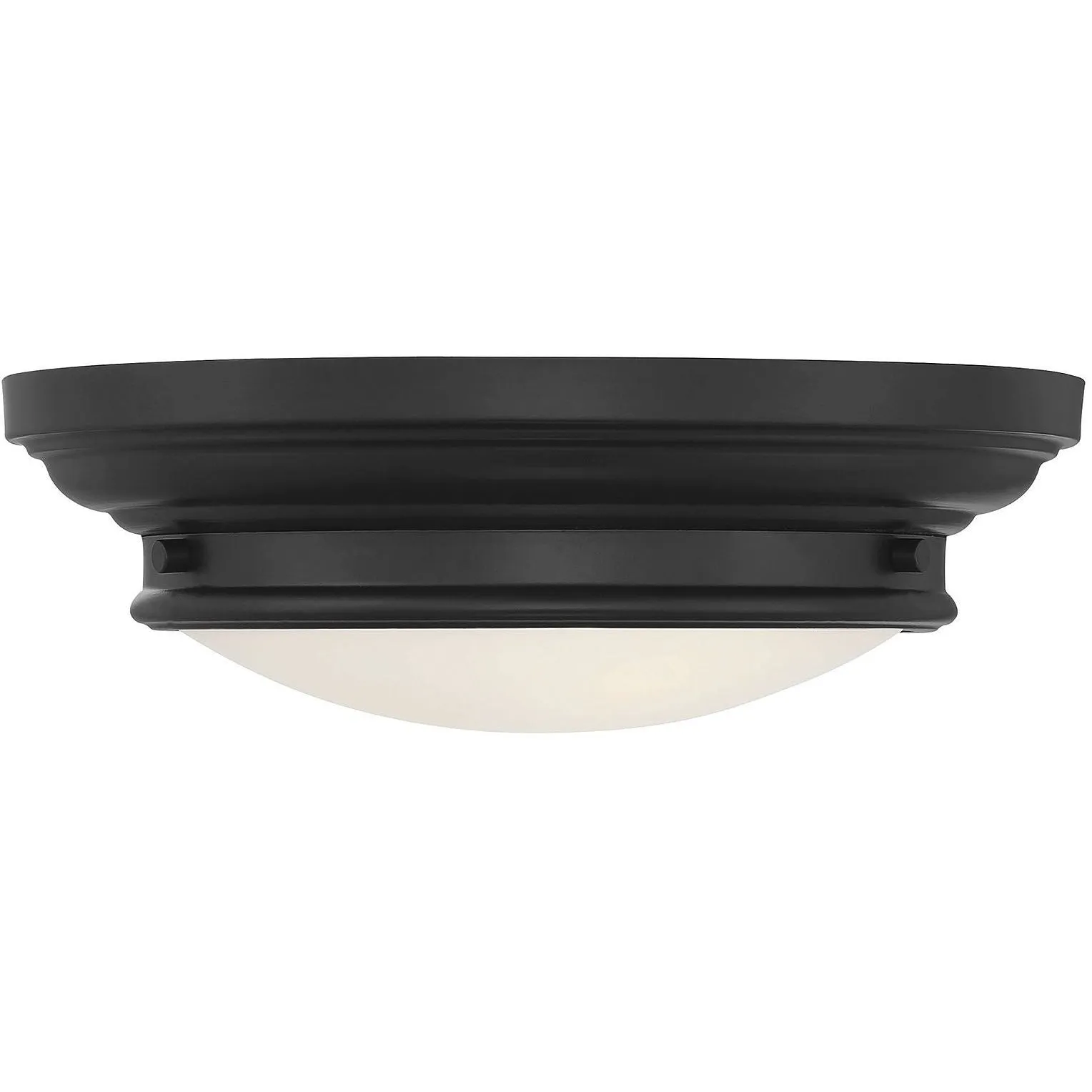 2-Light Ceiling Light