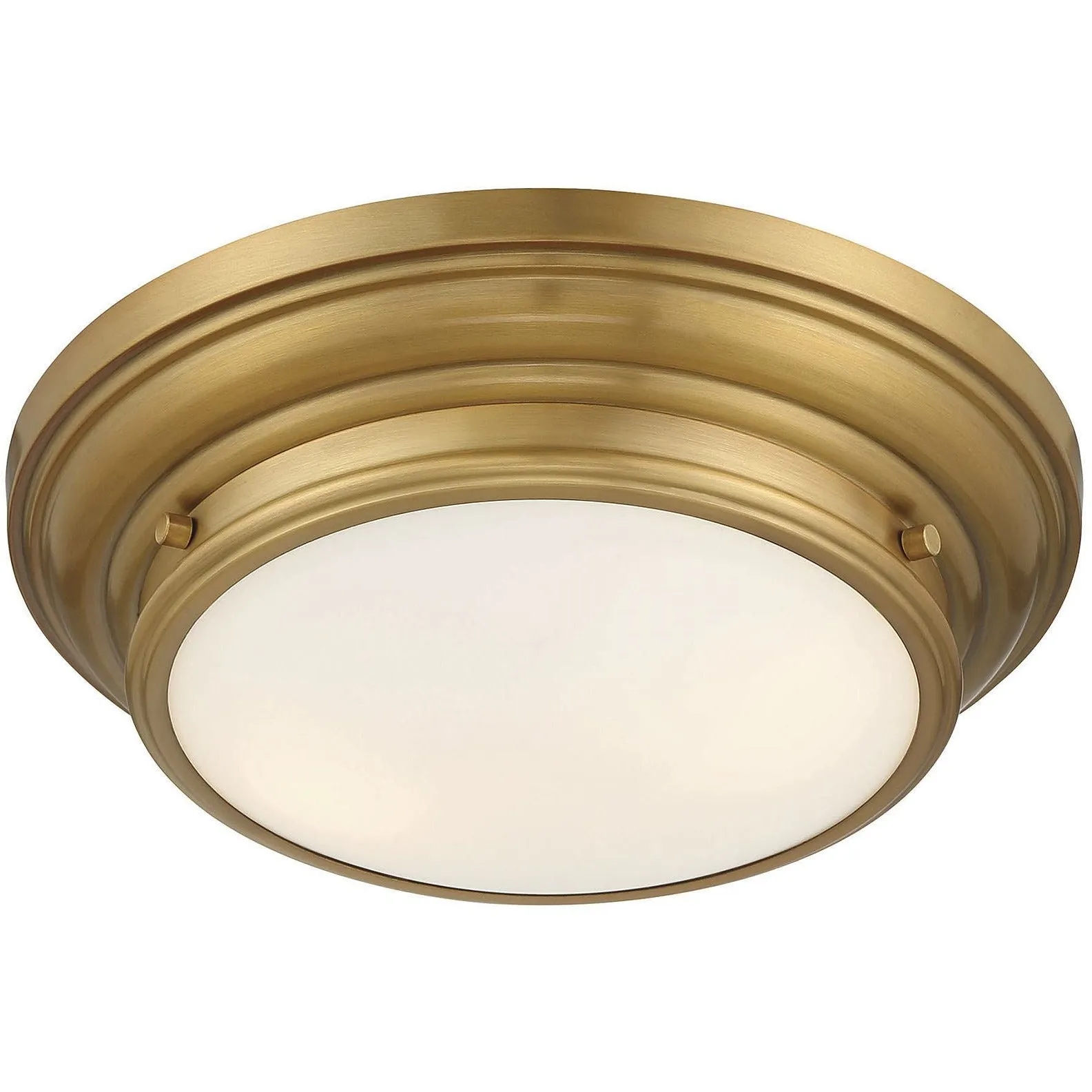 2-Light Ceiling Light