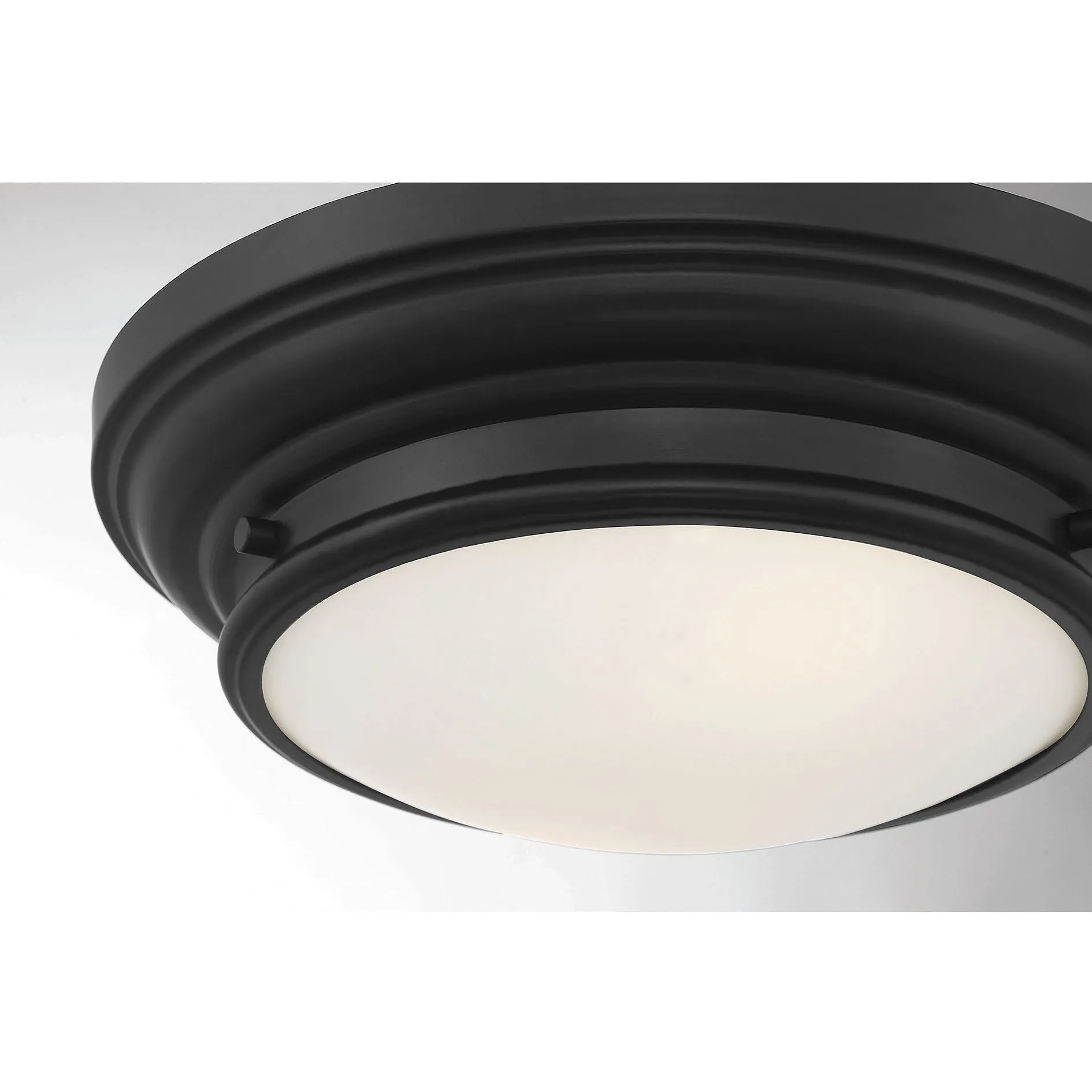 2-Light Ceiling Light