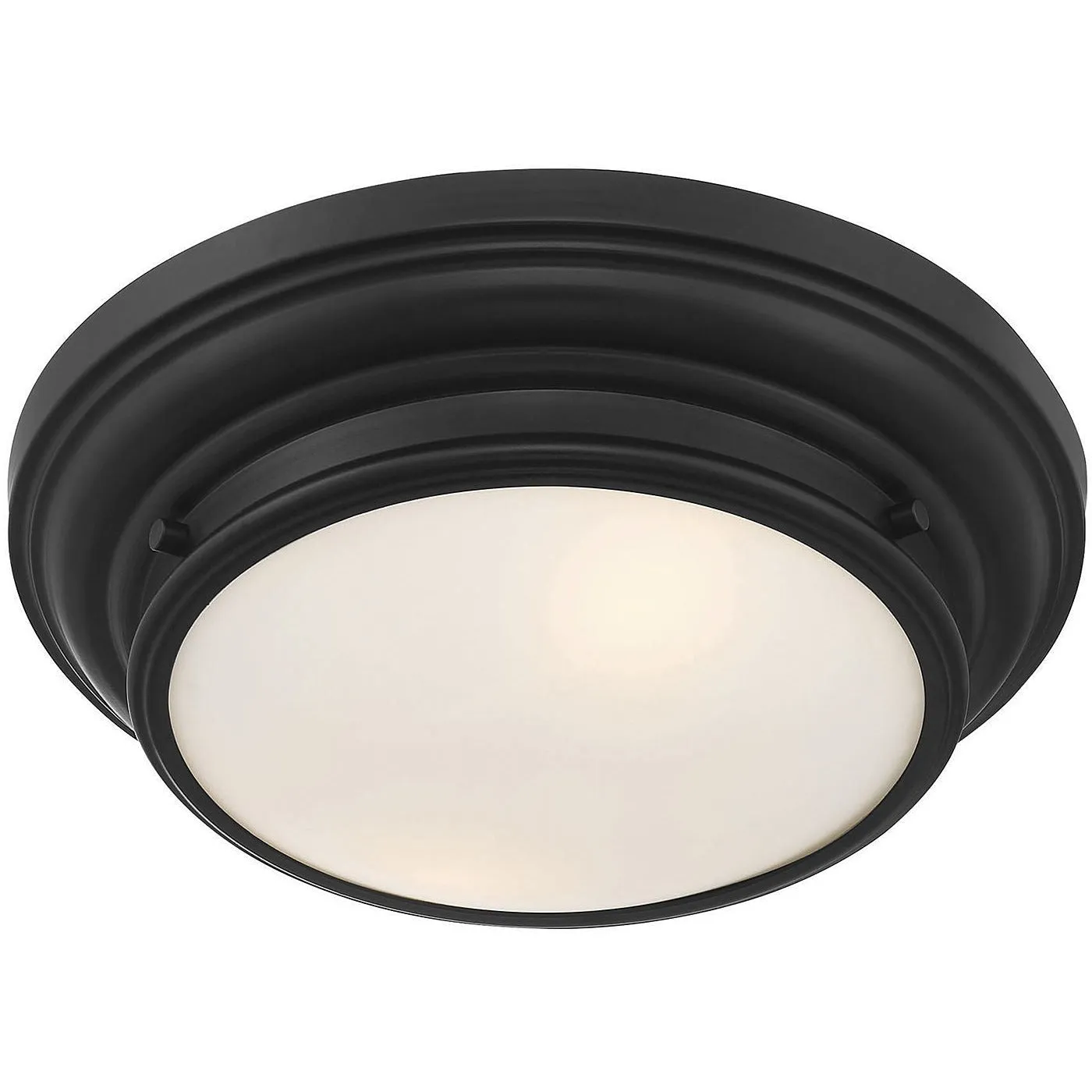 2-Light Ceiling Light