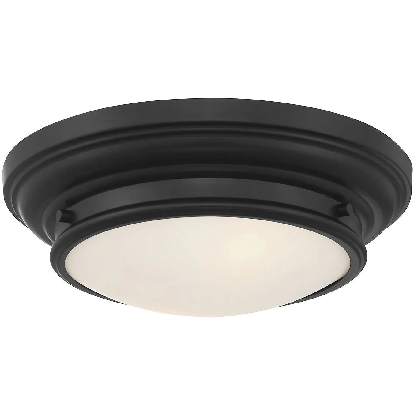 2-Light Ceiling Light