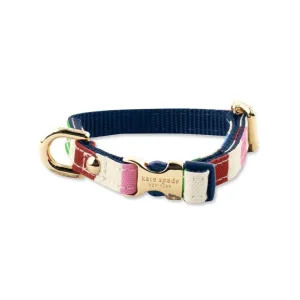 Adventure Stripe Dog Collar | S/M