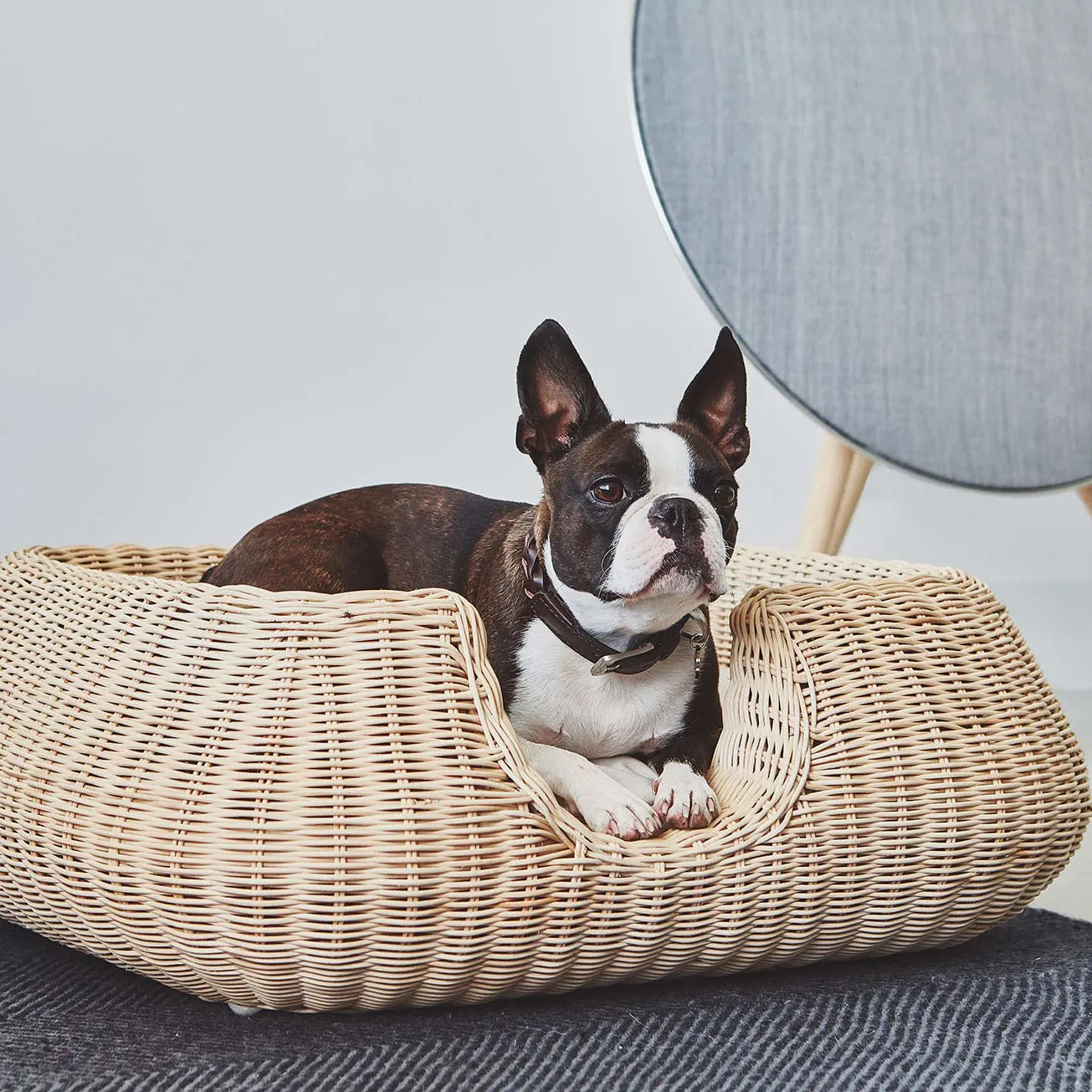 Bergamo Dog Collar