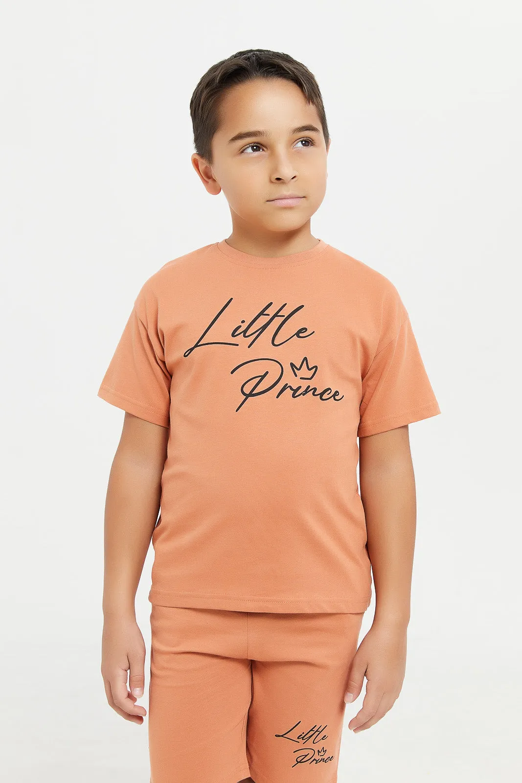 Boys Brown Print T-Shirt And Shorts Set (2 Piece)