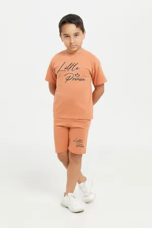 Boys Brown Print T-Shirt And Shorts Set (2 Piece)