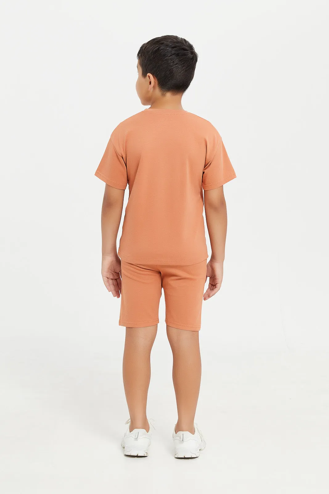 Boys Brown Print T-Shirt And Shorts Set (2 Piece)