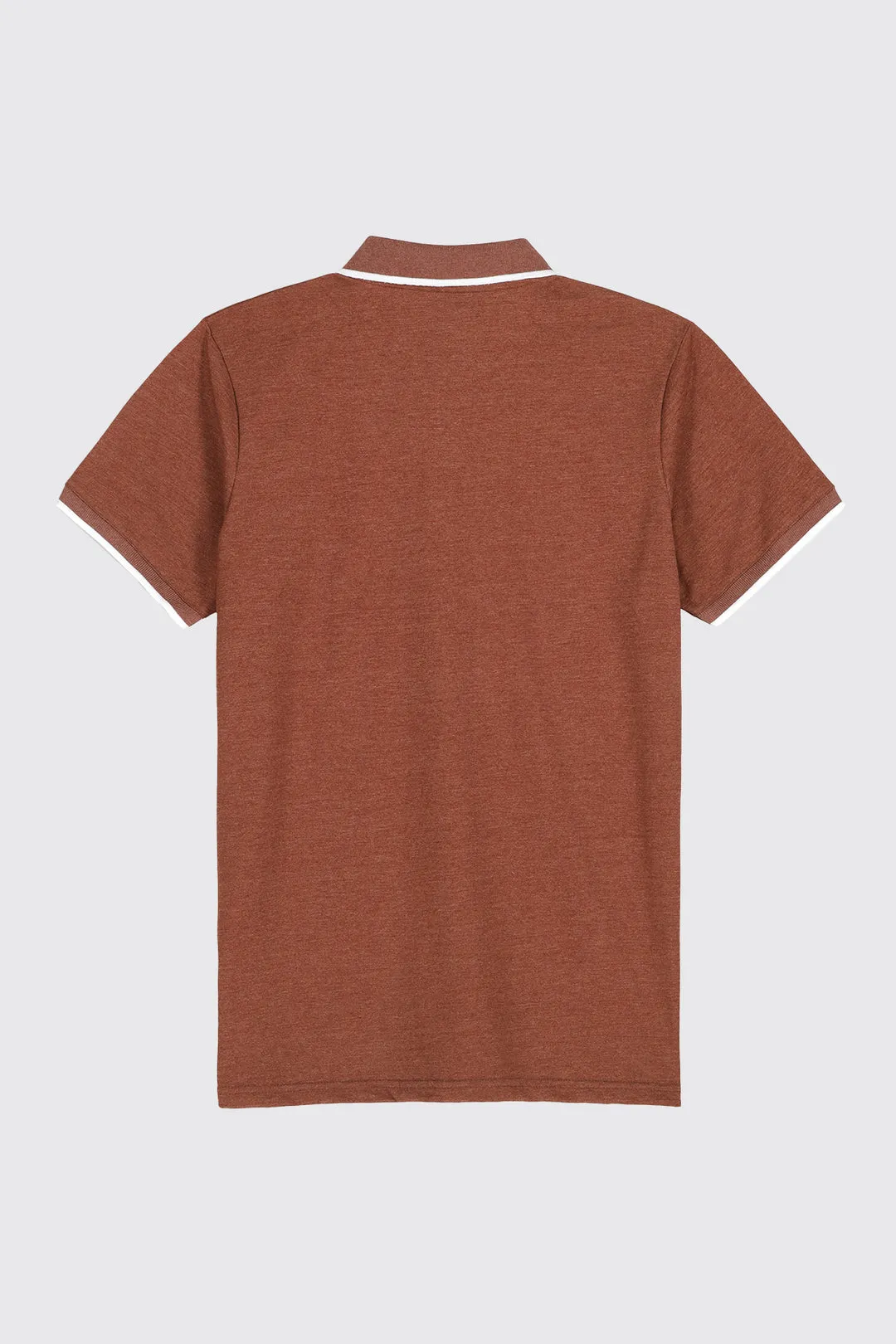 Brown Melange & Blue Tipped Collar Polo Shirt (Plus Size) - A23 - MP0182P