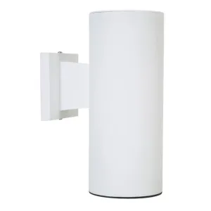 Classic Nautical Non-Corrosive Turtle & Dark Sky Friendly Wall Mount - Large - White
