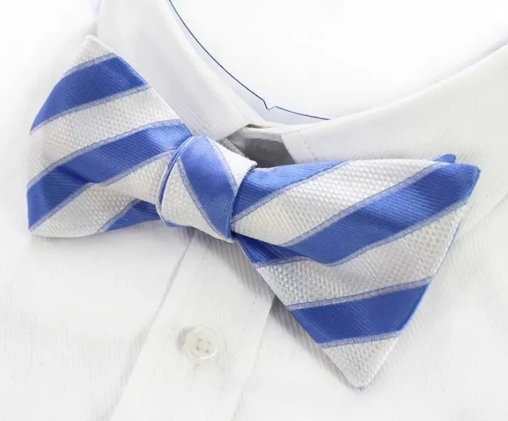 Classy Men Blue White Silk Self-Tie Bow Tie