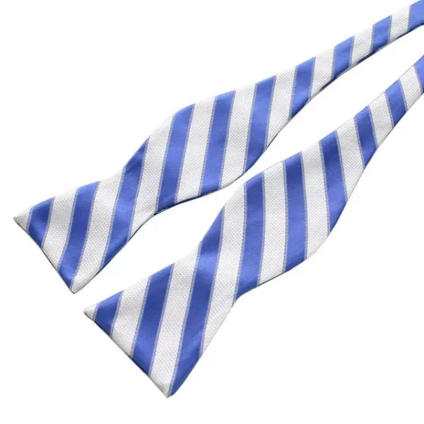 Classy Men Blue White Silk Self-Tie Bow Tie