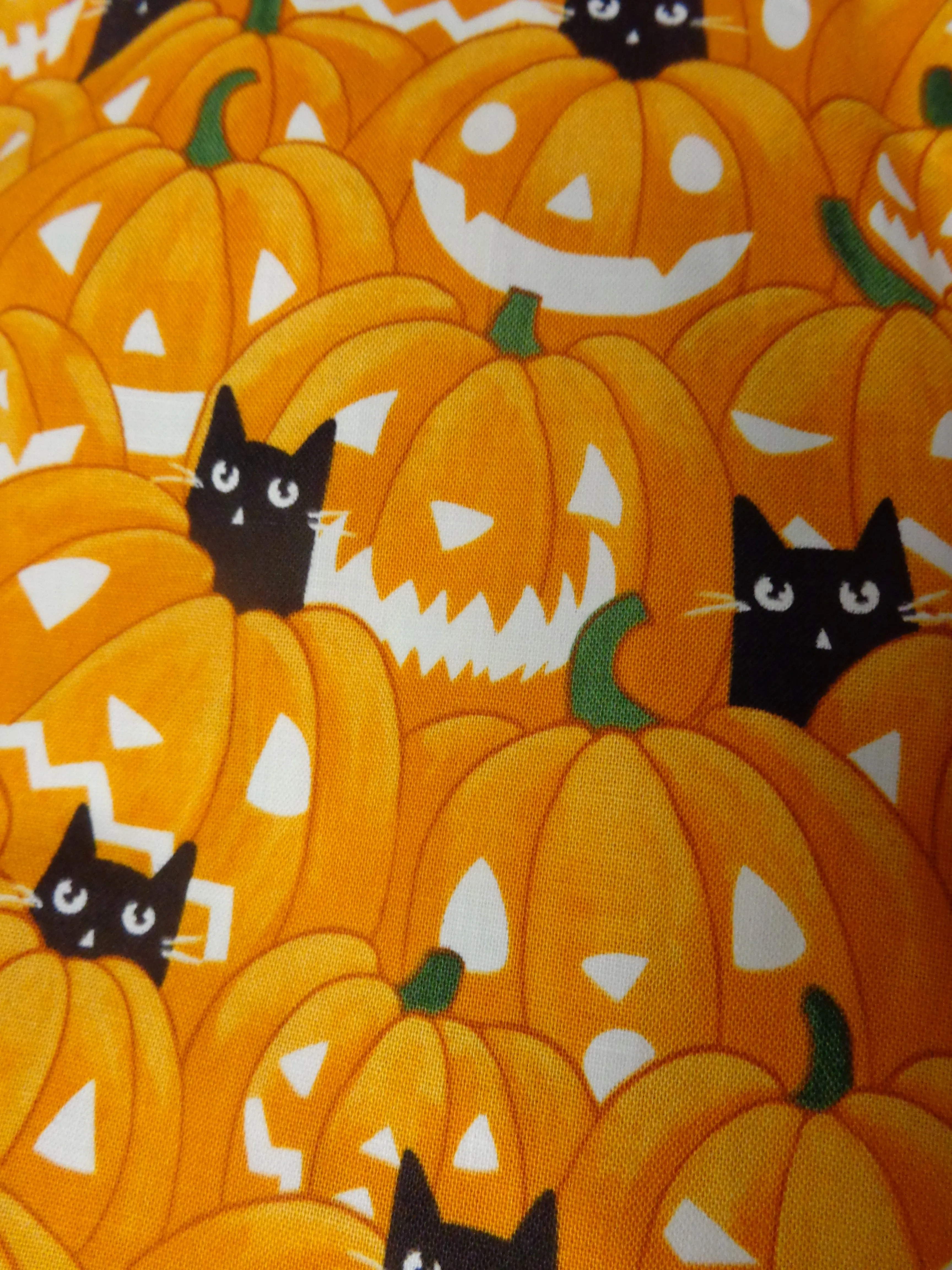 Jack-o-lantern and Kitties Glow in the Dark Skater Dress